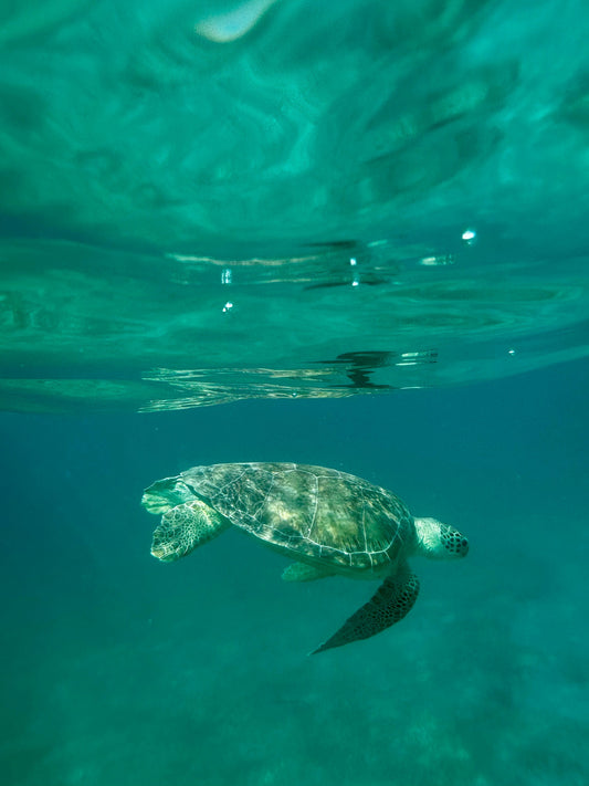 St. Thomas | Kelowna Travel Agent