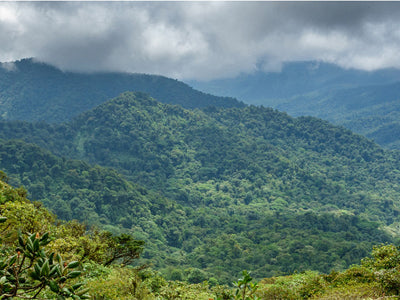 Costa Rica Escape